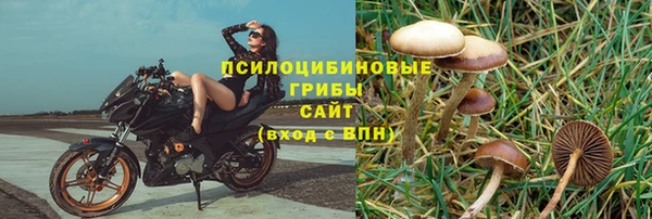 метадон Гусев