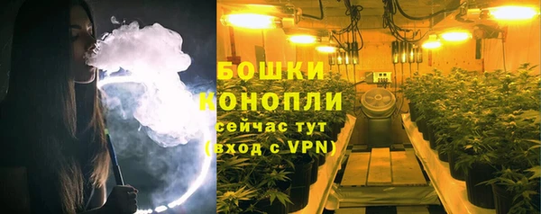 метадон Гусев