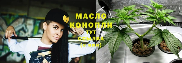 метадон Гусев