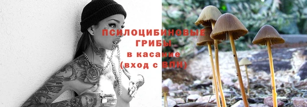метадон Гусев