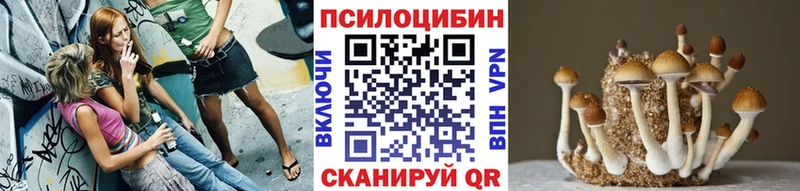 мега как войти  Южно-Сахалинск  Галлюциногенные грибы MAGIC MUSHROOMS 